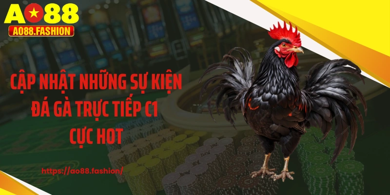 Cập nhật những sự kiện đá gà trực tiếp C1 cực hot