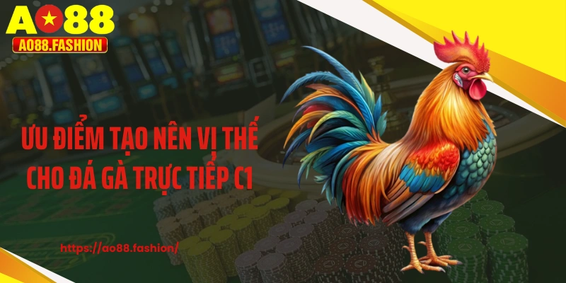 Ưu điểm tạo nên vị thế cho đá gà trực tiếp C1